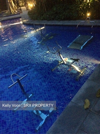 River Isles (D19), Condominium #399138861